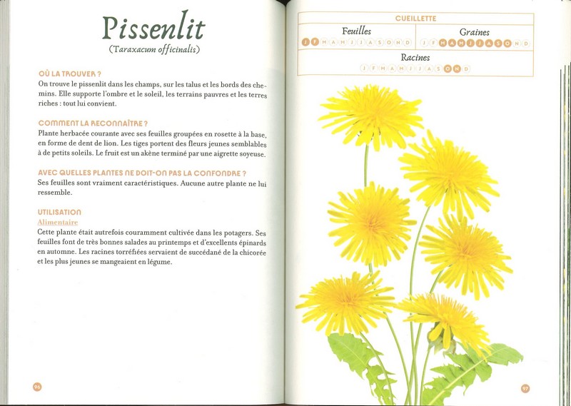 Mémento de la cueillette