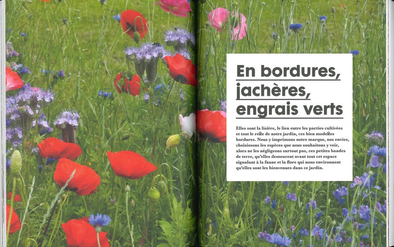 Elles poussent, elles soignent
