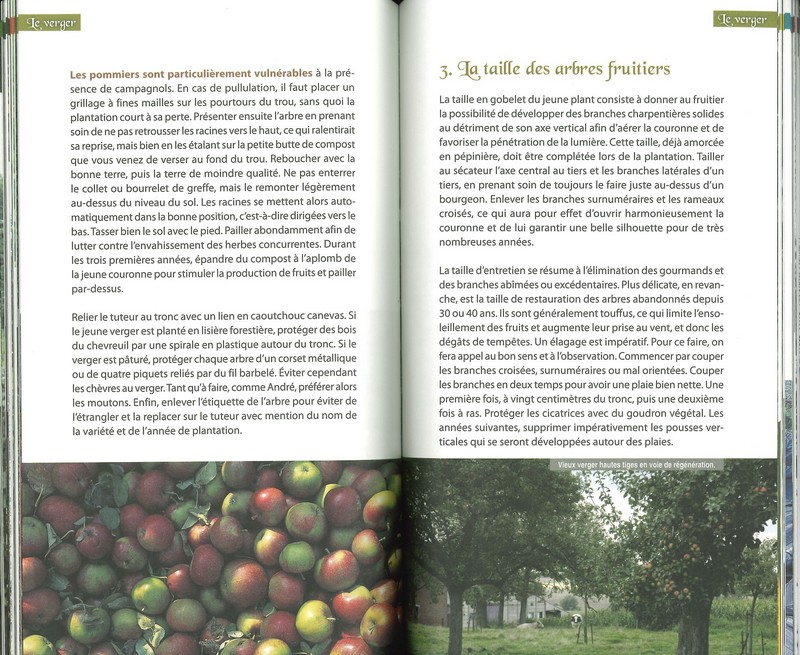 Astuces et secrets de jardinier