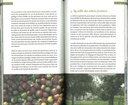 Astuces et secrets de jardinier