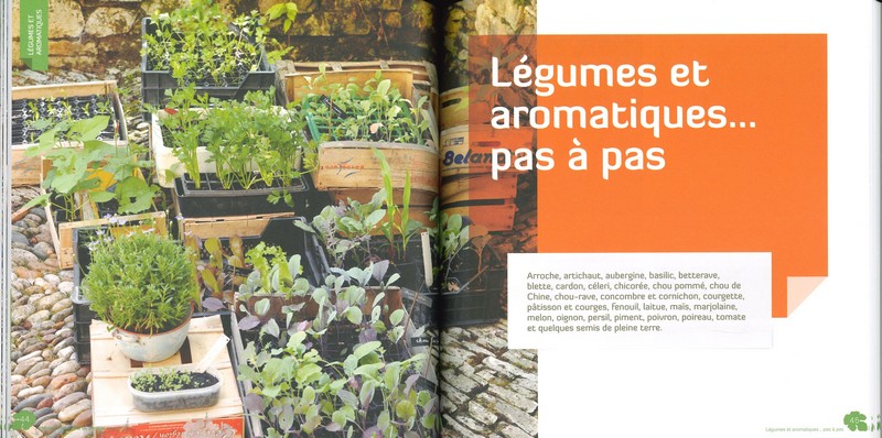 Je réussis mes plants du premier coup !