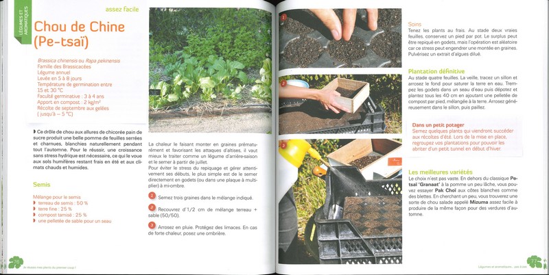 Je réussis mes plants du premier coup !