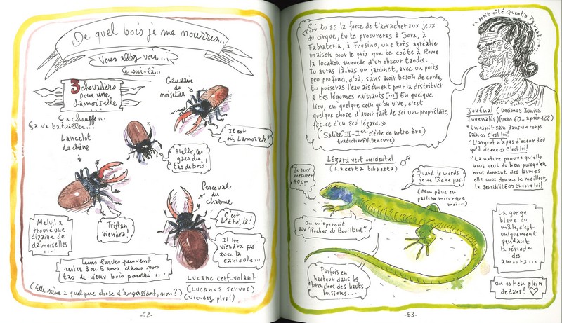 Carnet d'un jardinier curieux du vivant