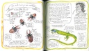 Carnet d'un jardinier curieux du vivant