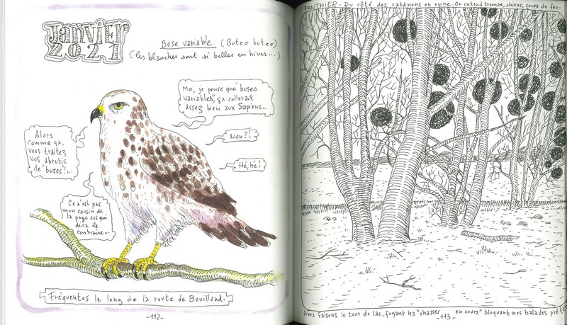 Carnet d'un jardinier curieux du vivant
