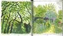 Carnet d'un jardinier curieux du vivant