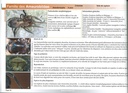 Clé de détermination photographique des principales araignées de Belgique