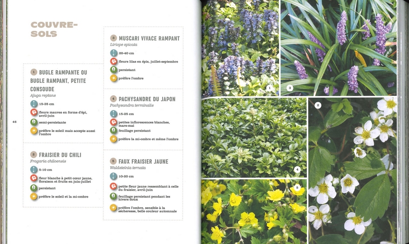 Manuel pratique du jardin éponge