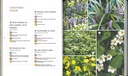 Manuel pratique du jardin éponge