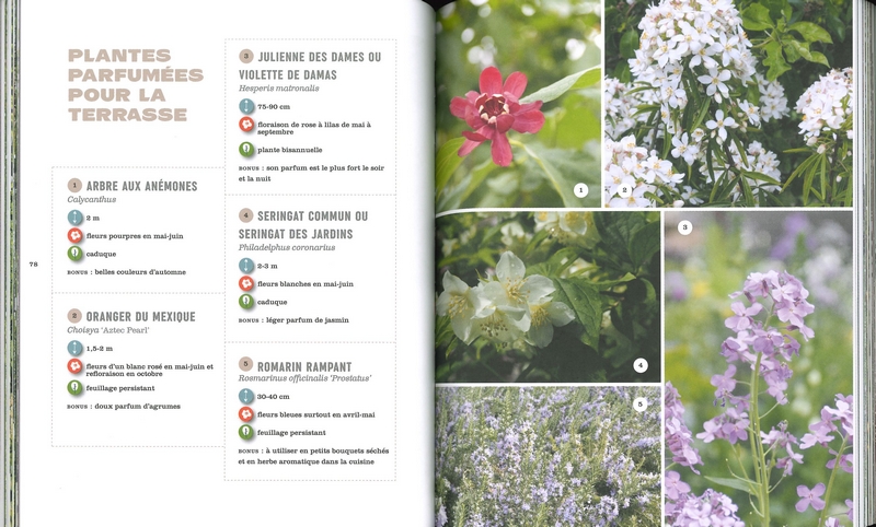 Manuel pratique du jardin éponge