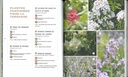 Manuel pratique du jardin éponge