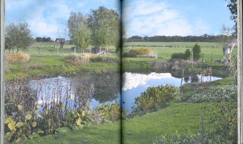 Manuel pratique du jardin éponge