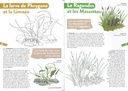 Vie sauvage de la mare - coloriages nature