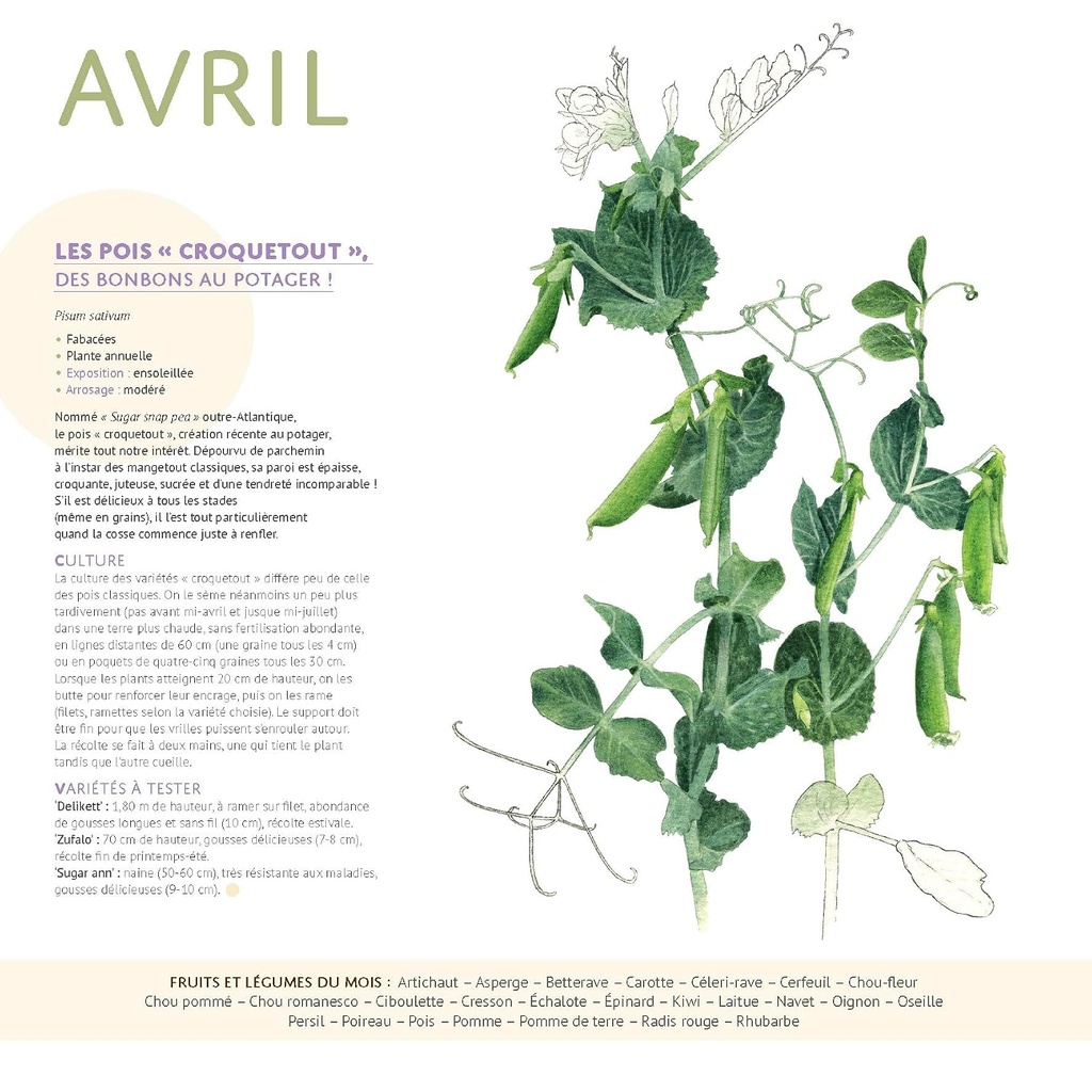 Calendrier 2027  du potager bio