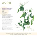 Calendrier 2027  du potager bio