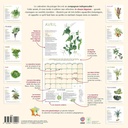 Calendrier 2027  du potager bio