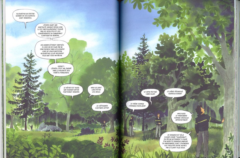 Forêts le dernier rempart - BD