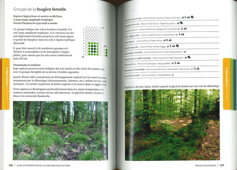 Guide d'interprétation de la flore indicatrice en forêt