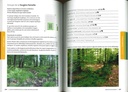 Guide d'interprétation de la flore indicatrice en forêt