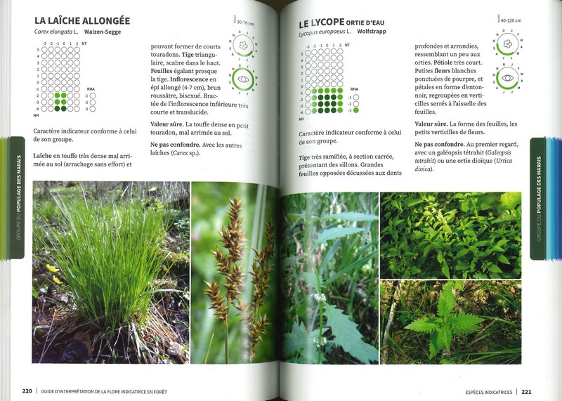 Guide d'interprétation de la flore indicatrice en forêt