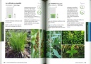 Guide d'interprétation de la flore indicatrice en forêt