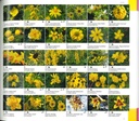 Le nuancier du jardinier