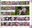 Le nuancier du jardinier