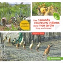 Des canards coureurs indiens dans mon jardin