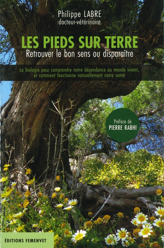 Les pieds sur terre