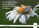 Clé de détermination photographique des principales araignées de Belgique
