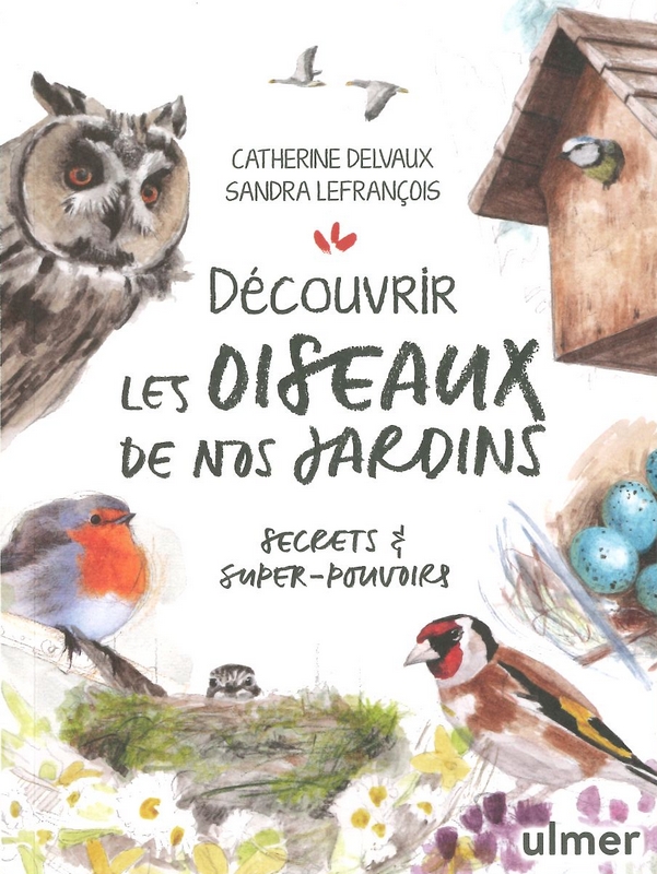 Découvrir les oiseaux de nos jardins