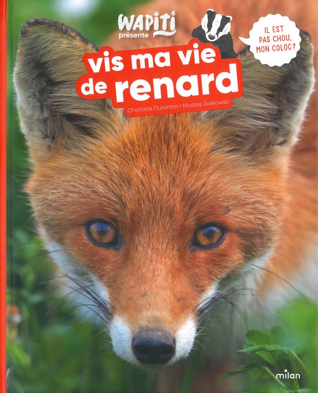 Vis ma vie de renard