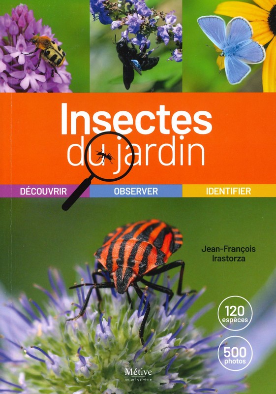 Insectes du jardin
