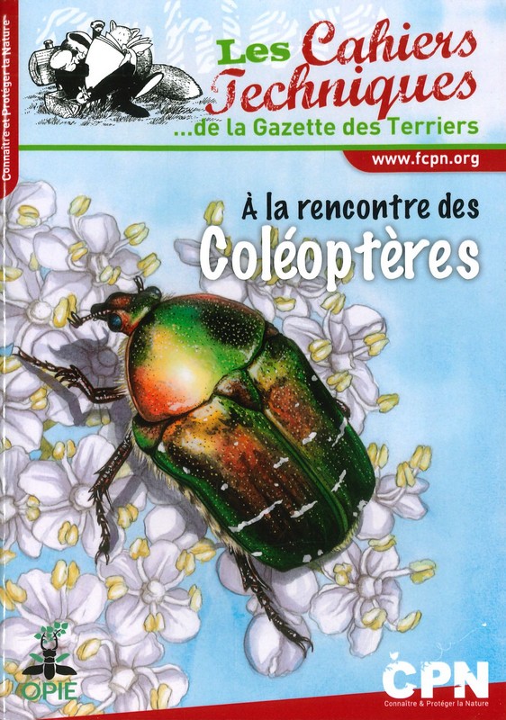 A la rencontre des coléoptères