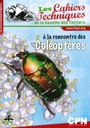 A la rencontre des coléoptères
