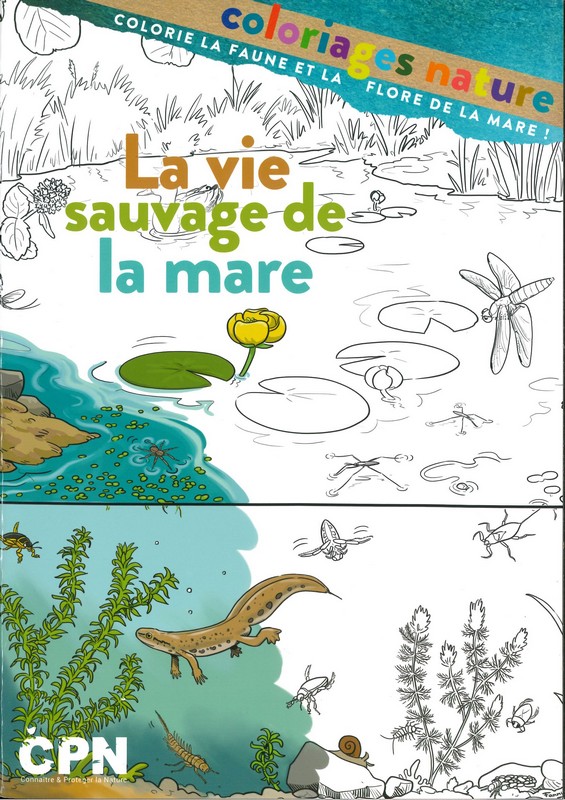 Vie sauvage de la mare - coloriages nature