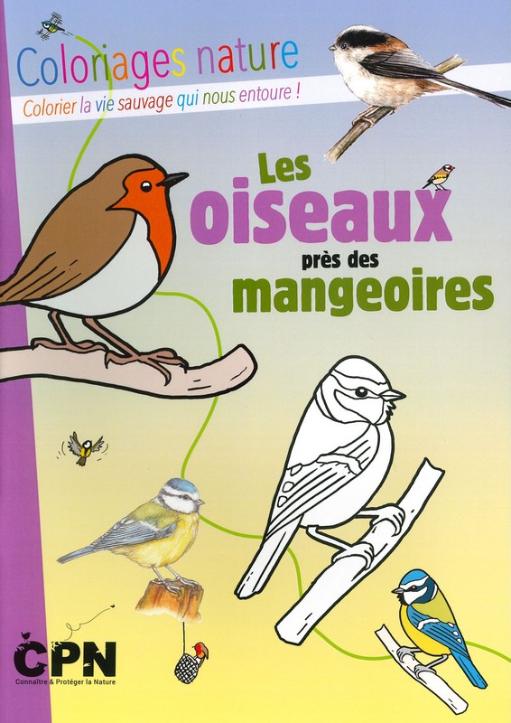 Oiseaux près des mangeoires - coloriages nature