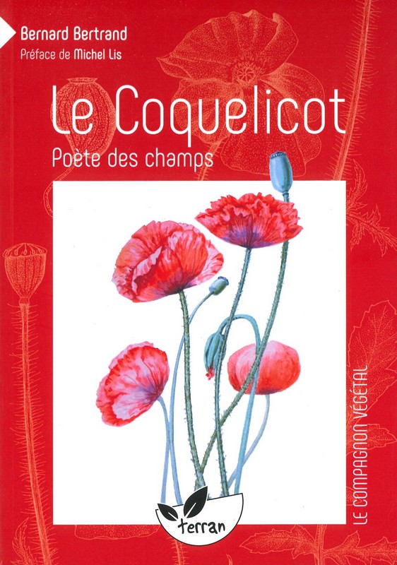Le coquelicot poète des champs
