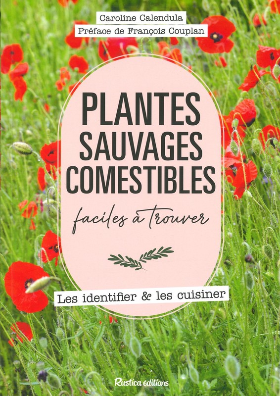 Plantes sauvages comestibles faciles à trouver