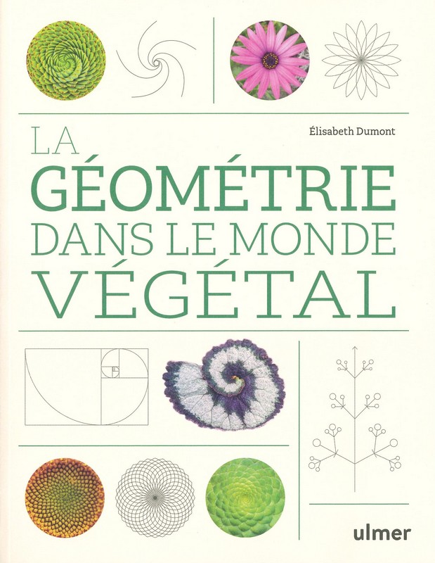 La géométrie dans le monde végétal