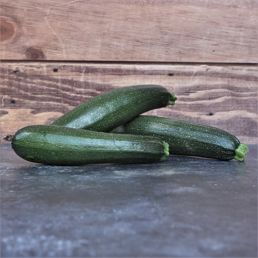 Courgette Black Beauty - L2000