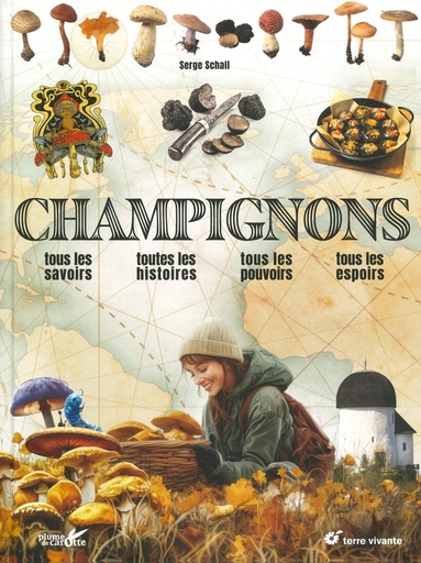 Champignons