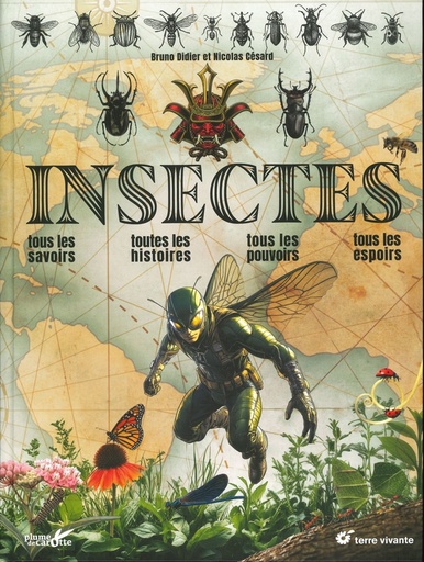 Insectes