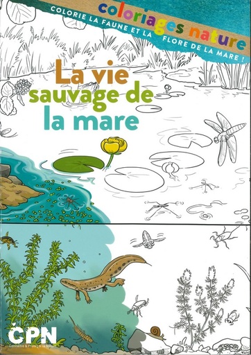 Vie sauvage de la mare - coloriages nature