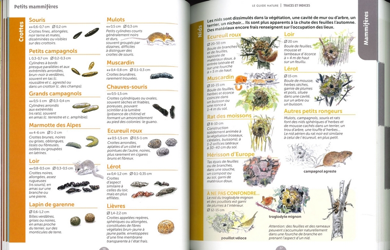 Le guide nature traces et indices - 2ème éd.