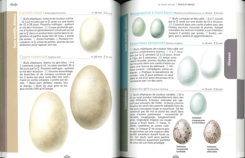 Le guide nature traces et indices - 2ème éd.