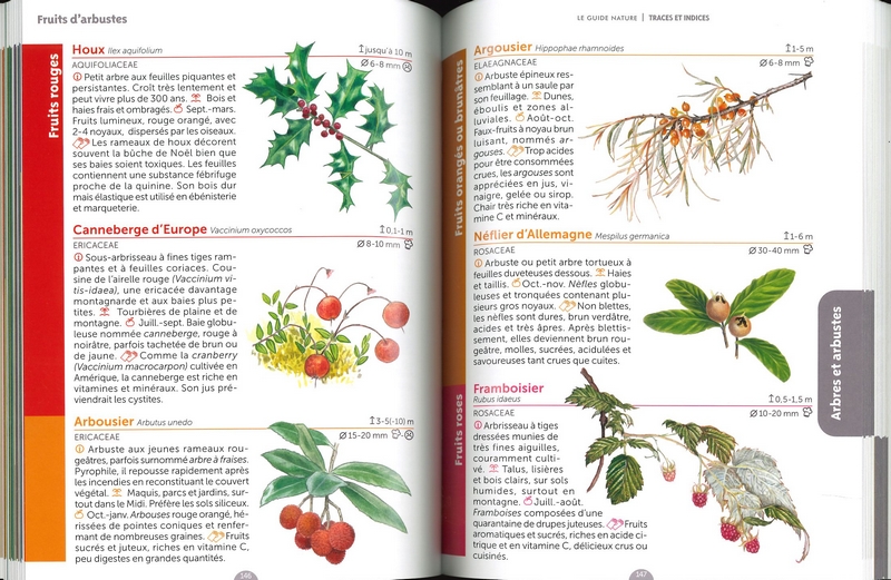 Le guide nature traces et indices - 2ème éd.