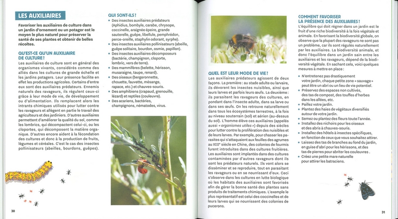 Stratégie anti-bestioles au jardin