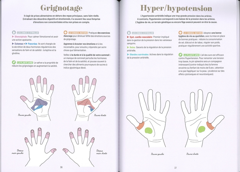 Mon cahier de réflexologie palmaire