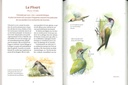 Les oiseaux de nos jardins & leur vie secrète